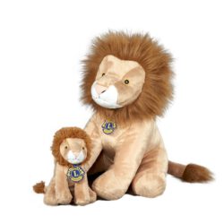 Lions leeuwen