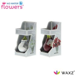 Amaryllis bollen wax
